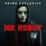 mr.robot